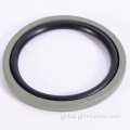 Gray Circle Professional Design Hydraulic Piston Compact Seal Factory